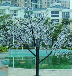 Uhie osisi ọkụ na-acha ọkụ,Ọkụ ọkụ cherry,8 mita elu ọkụ ọkụ cherry 4,
6,
KARNAR INTERNATIONAL GROUP LTD