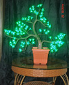 Cahaya ceri LED
KARNAR INTERNATIONAL GROUP LTD